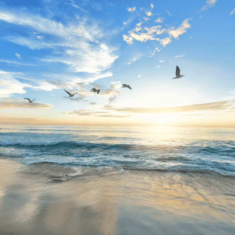 good morning beach sunrise gif