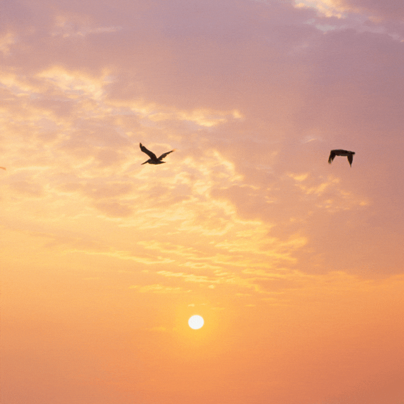 sunrise good morning gif