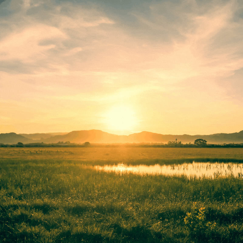 sunrise good morning gif