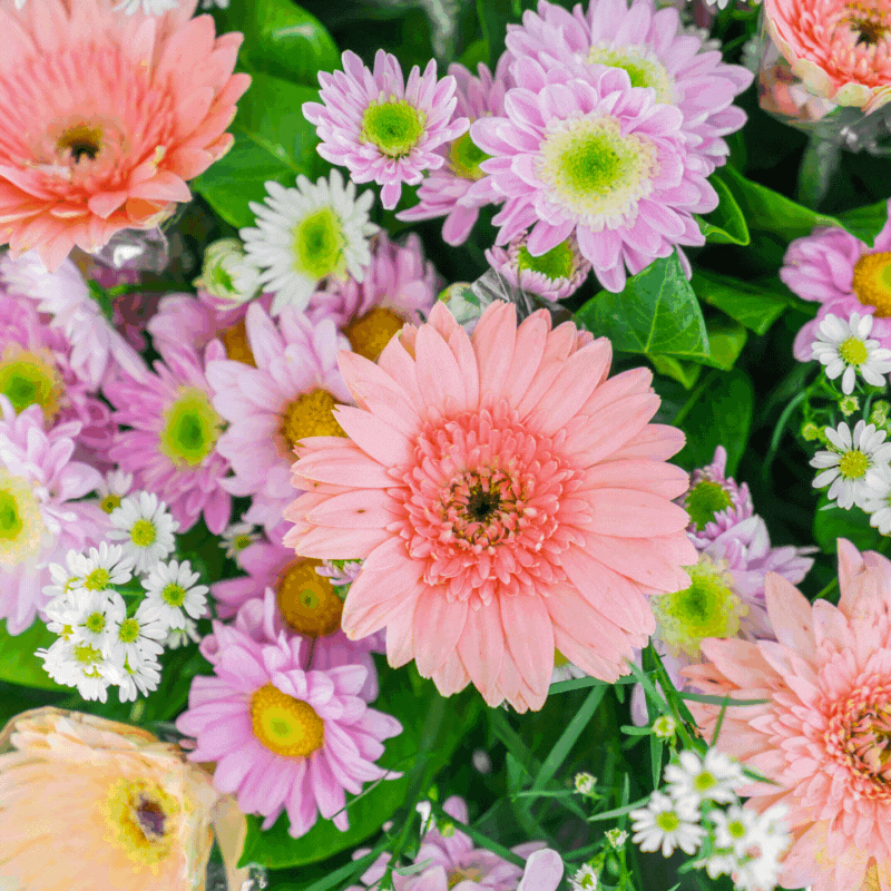good morning flower gif
