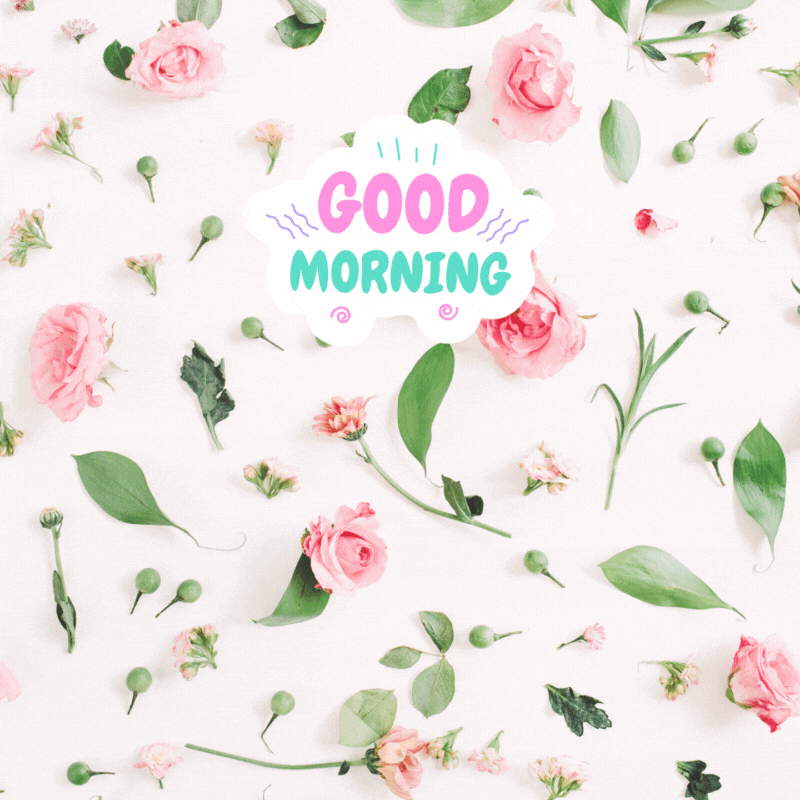 flower good morning gif