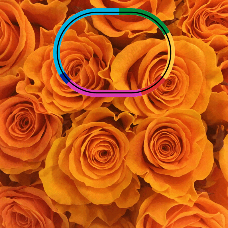 good morning gif flowers
