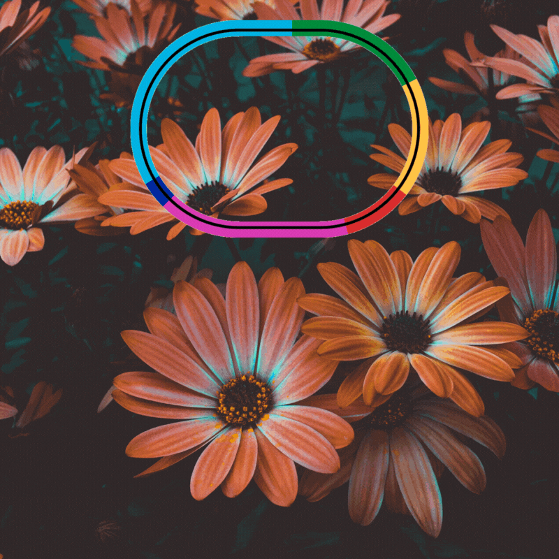 flower good morning gif images