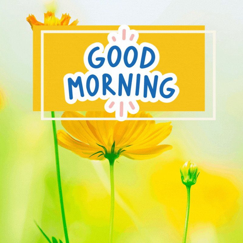 gif flower good morning