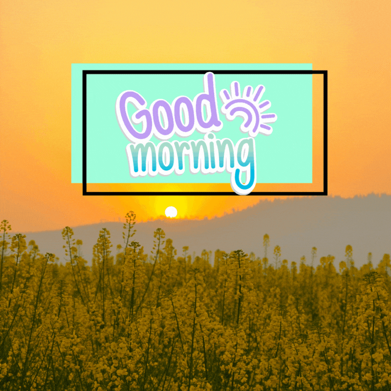 early morning good morning sunrise gif