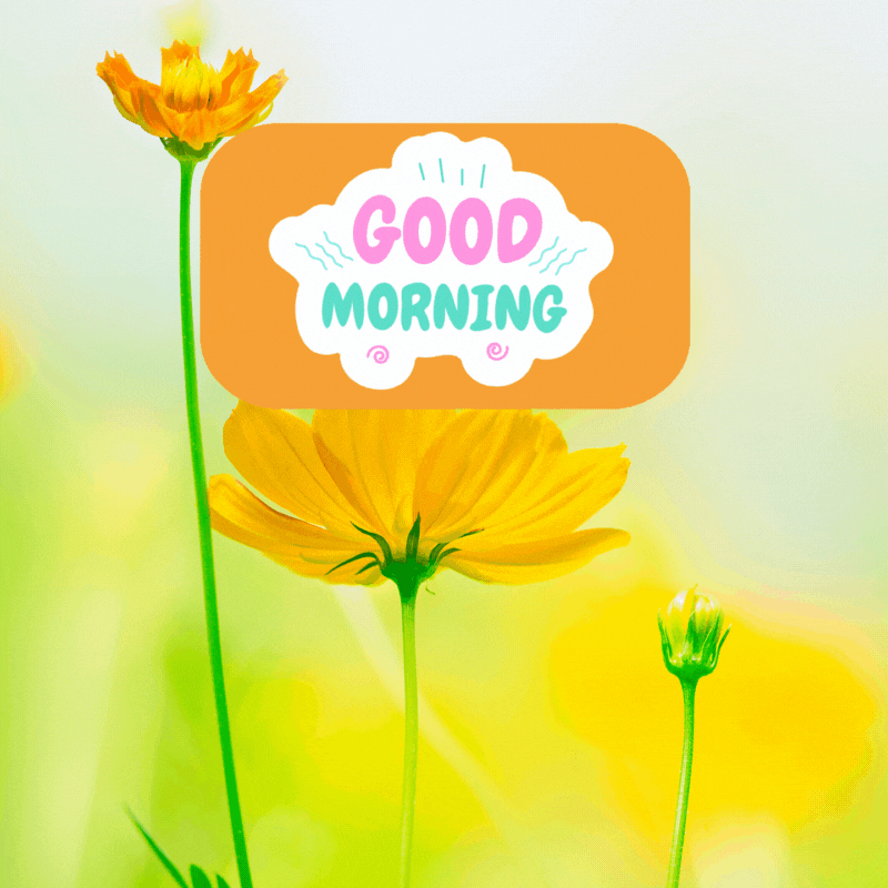 good morning flower gif